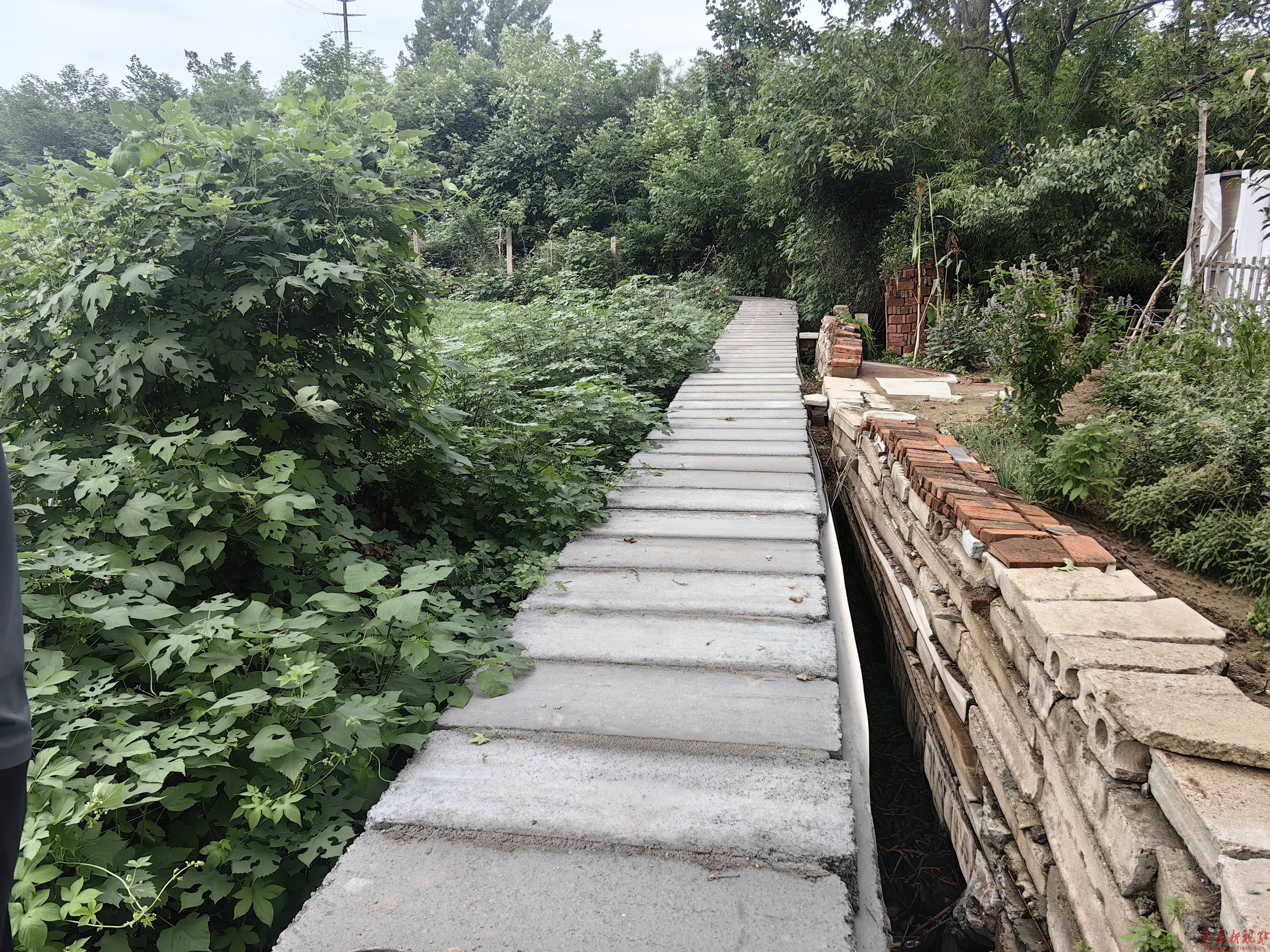 舞鋼市尚店鎮(zhèn)：專項(xiàng)資金架起“連心橋”尚西村項(xiàng)目 惠及各族群眾